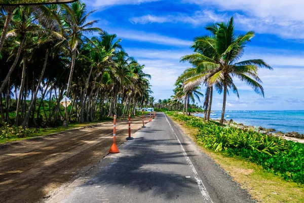 Palmy v jedné straně silnice v San Andrés, Kolumbie v pozadí krásná pláž — Stock fotografie