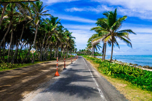 Palm trees in one side of a road in San Andres, Colombia in a beautiful beach background