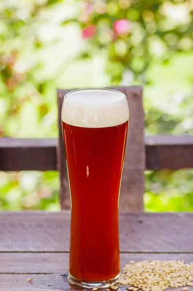 Close up de copo de cerveja com um fundo de natureza turva — Fotografia de Stock