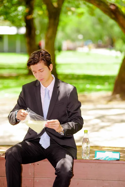 Handsome young businessman wearing a suit and holding a sandwich inside of a plastic bag at outdoors, in a blurred park background — Stock Photo, Image