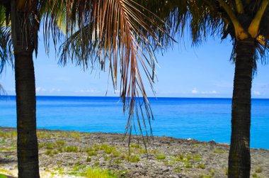 Güzel bir plaj arka planda San Andres, Kolombiya bazı palmiye ağaçları ile turkuaz suyun güzel açık görünüm