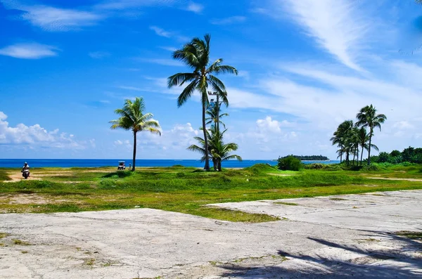 Пальмы в Сан-Андрес, Колумбия, на красивом пляжном фоне — стоковое фото
