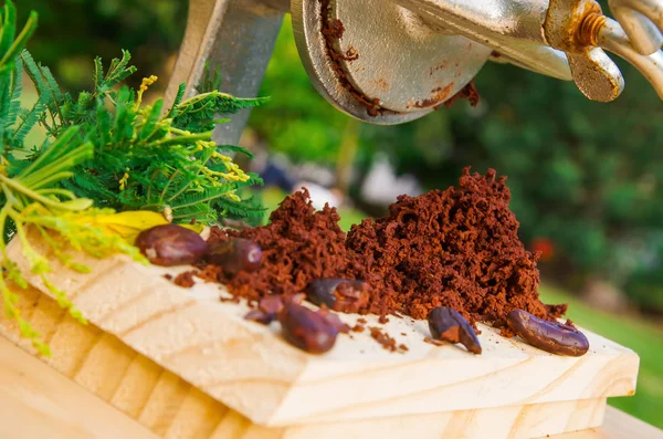 Крупним планом какао-боби і какао-фрезерування на дерев'яному столі, з ручним млином, на розмитому фоні природи — стокове фото