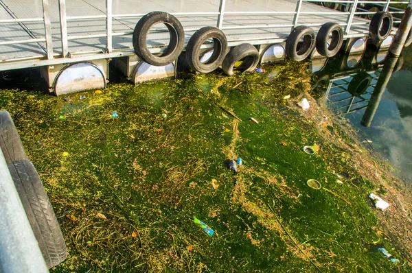 Otavalo, Ecuador, 03 September 2017: Close-up van drijvend platform, met uitzicht op het vuile water met waterplanten, plastic en vuilnis drijvend in het oppervlak in San Pablo lake — Stockfoto