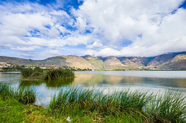 Hermosa vista de algunas plantas típicas en el hermoso lago en Yahuarcocha, con un hermoso día nublado con la montaña detrás en Ecuador —  Fotos de Stock