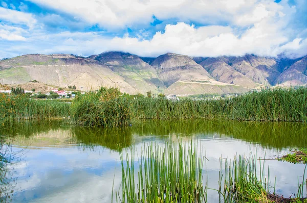 Beautiful view of some typical plants in the beautiful lake in Yahuarcocha , with a gorgeous cloudy day with the mountain behind in Ecuador — Stock Photo, Image