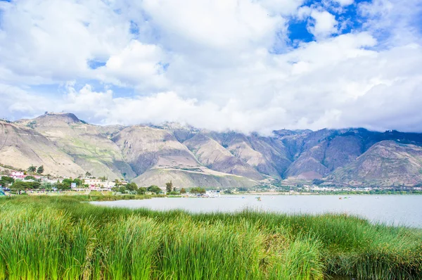 Beautiful view of some typical plants in the beautiful Yahuarcocha lake, with a gorgeous cloudy day in Ecuador — Stock Photo, Image