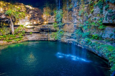 IK-Kil hipotermik Chichen Itza, Meksika yakınlarında. Güzel hipotermik şeffaf turkuaz suları ve asılı kökleri ile