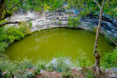 Bir gölet güzel açık manzarasına denilen hipotermik Xtoloc Chicen Itza, Yucatan, Meksika, balık göz etkisi bulunmaktadır.