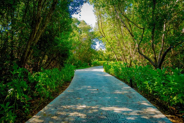 Caminho de pedra bonita em torno de vegetação no bairro de Playacar, Playa del Carmen, México — Fotografia de Stock