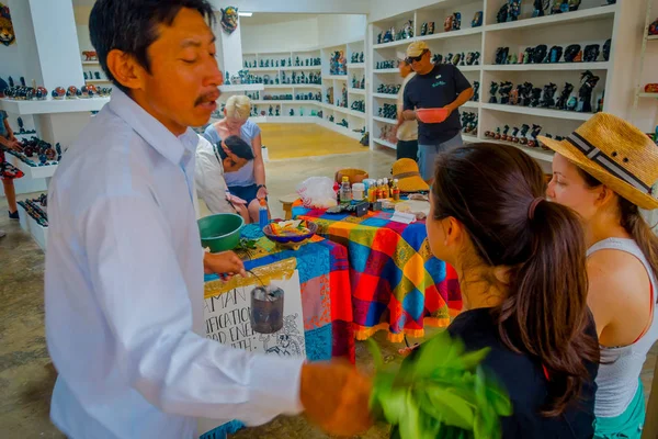 墨西哥奇琴伊察-2017年11月12日: 墨西哥一家商店内的一处商店内使用植物治愈美丽女孩的室内景观 — 图库照片