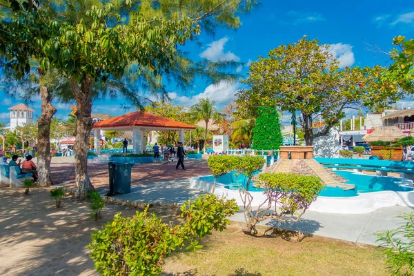 Puerto Morelos, Mexico - 10 januari 2018: Utomhus syn på en enorm städade träd och oidentifierade personer promenader i parken i Puerto Morelos, Yucatan halvön, Mexiko, söder om Cancun — Stockfoto