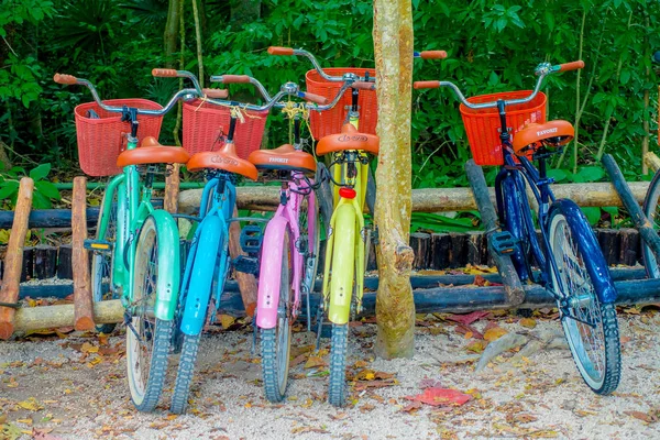 TULUM, MÉXICO - 10 DE ENERO DE 2018: Vista al aire libre de cinco bicicletas estacionadas en fila en la entrada de las ruinas mayas de Tulum en Quintana Roo, Península de Yucatán, México —  Fotos de Stock
