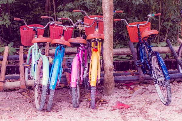 墨西哥图鲁姆--2018年1月10日: 墨西哥尤卡坦半岛金塔纳罗奥市玛雅废墟中连续停放的5辆自行车的户外景观, 复古效果 — 图库照片