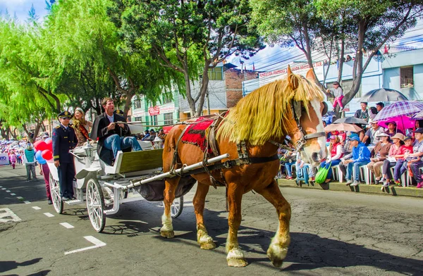 Quito, Ecuador - 31 de enero de 2018: Vista exterior de la reina de Quito sobre un carruaje durante un desfile en Quito, Ecuador —  Fotos de Stock