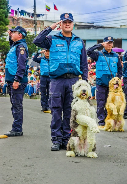Quito, Ekvádor - 31. ledna 2018: Venkovní pohled neidentifikovaného muže se psem prezentací v ulicích během přehlídky v Quito, Ekvádor — Stock fotografie