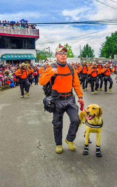 Quito, Ekvator - 31 Ocak 2018: Kimliği belirsiz adam bir güzel golden retriever köpek, kurtarma sırasında bir geçit Quito, Ekvator sokaklarda yürüyüş grup ile açık görünümünü — Stok fotoğraf