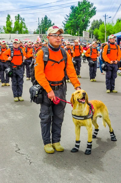厄瓜多尔基多-2018年1月31日: 在厄瓜多尔基多游行期间, 一只漂亮的金色猎犬狗, 一组救援人员在街上散步的身份不明男子的户外视野 — 图库照片