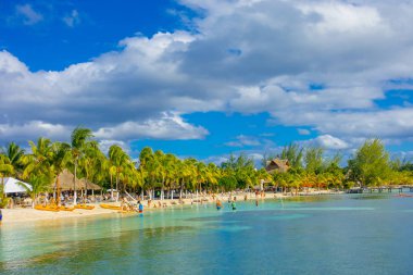 Cancun, Meksika - 10 Ocak 2018: kimliği belirsiz kişi Meksika, Cennet Adası, güneş ve avuç içi güzel Karayipler beach Isla mujeres yüzme. Turizm kavramı