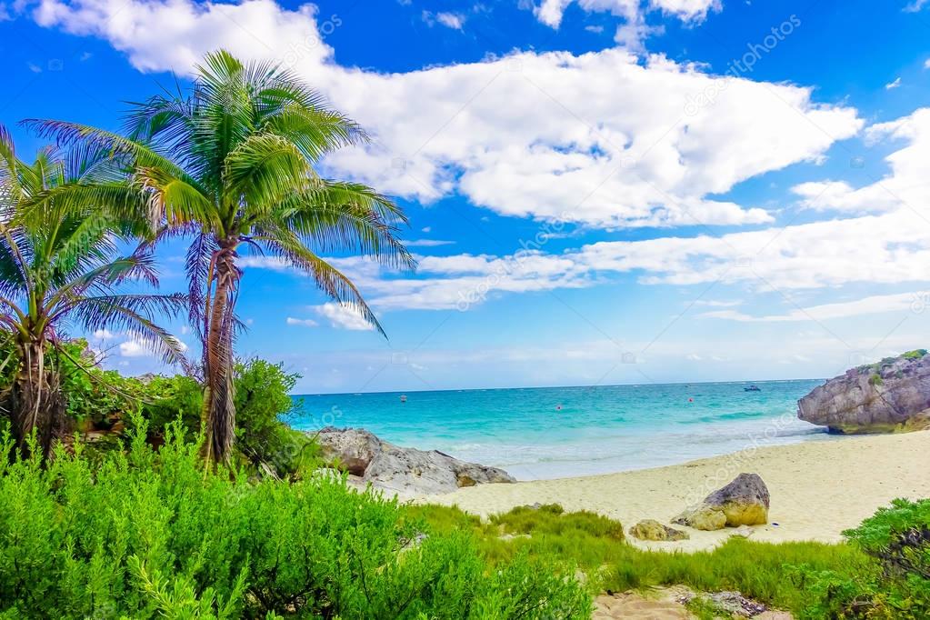 Amazing beautiful view of the beach with turquoise water, some palm trees and green vegetation in a gorgeos day with blue sky and white sand close to Mayan Ruins of Tulum. Riviera Maya, in Mexico