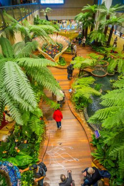 Singapore, Singapur - 30 Ocak 2018: Yukarıda kapalı görünümünü Singapur Changi Havaalanı içinde bitkiler ile küçük bir bahçede yürüyüş insanlar. Singapur Changi Havaalanı birincil sivil Havaalanı olduğunu