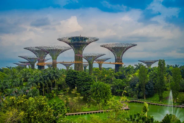 SINGAPUR, SINGAPUR - 01 DE FEBRERO DE 2018: Hermosa vista al aire libre del jardín botánico, Jardines junto a la Bahía en Singapur —  Fotos de Stock