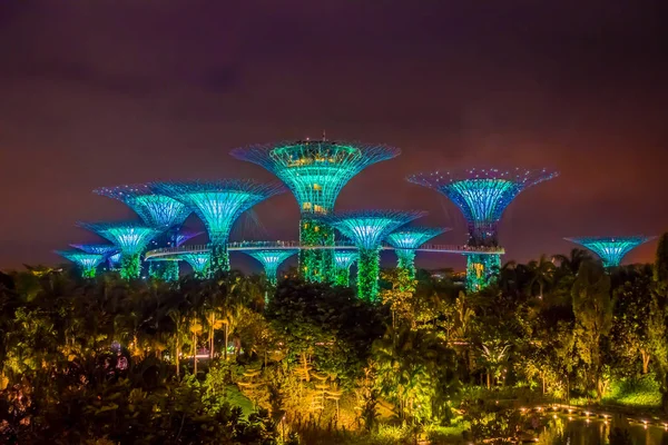 SINGAPUR, SINGAPUR - 01 DE FEBRERO DE 2018: Hermosa vista futurista de la increíble iluminación en Garden by the Bay en Singapur. El espectáculo nocturno en Supertree es el principal turista del distrito de Marina Bay Sands —  Fotos de Stock