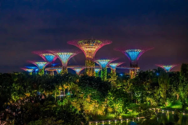 CINGAPORE, CINGAPORE - FEVEREIRO 01, 2018: Bela vista ao ar livre da árvore futurista de iluminação incrível no Jardim pela Baía em Cingapura. Show de luz noturna no Supertree é o principal Marina Bay Sands — Fotografia de Stock