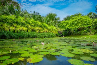 Marina Bay Sands, Singapur'da bulunan su birçok zambak yastıkları ile bir yapay göl ile güzel bir Bahçe, açık görünüm