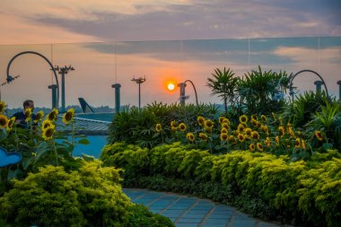 Singapore, Singapur - 30 Ocak 2018: ayçiçeği Bahçe Singapur Changi Havaalanı içinde günbatımı sırasında ziyaret kimliği belirsiz adam