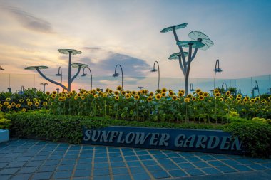 SINGAPORE, SINGAPORE - JANUARY 30, 2018: Outdoor view of the Sunflower Garden inside of the Singapore Changi Airport, during the sunset clipart