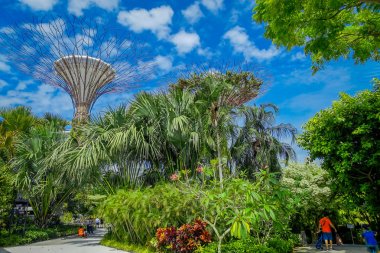 Singapore, Singapur - 30 Ocak 2018: Gardens bir supertree altında Bay tarafından kimliği belirsiz insanlar. Ağaç benzeri yapıları taklit Çevre teknolojileri ile donatılmıştır