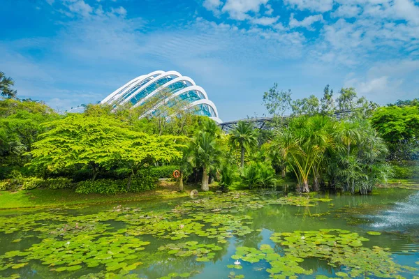 Beautiful garden with an artificial lake with many Lily pads in the water located at Marina Bay Sands in Singapore — Stock Photo, Image