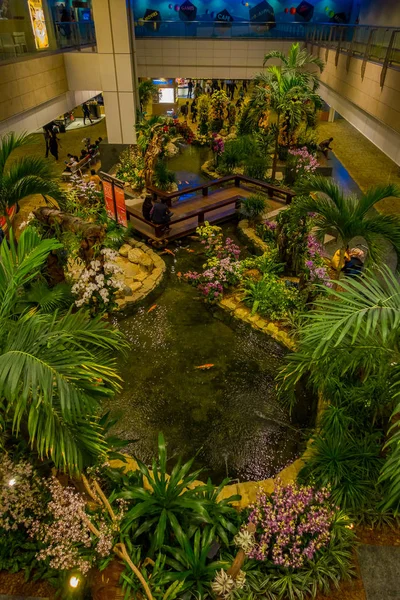 SINGAPOUR, SINGAPOUR - 30 JANVIER 2018 : Vue sur les gens dans un petit jardin avec des plantes et une livre magnifique avec un poisson koï à l'intérieur de l'aéroport Changi de Singapour. Singapour Changi Airport est le — Photo