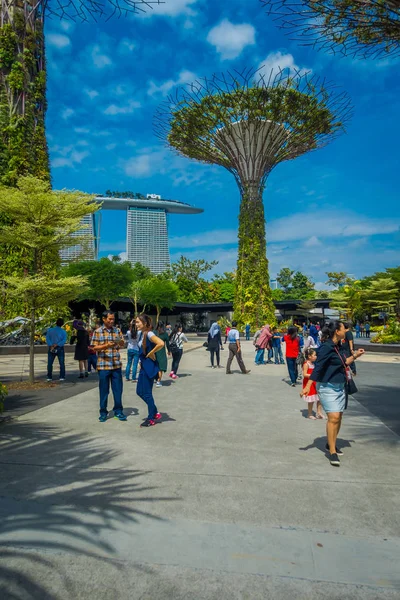 SINGAPUR, SINGAPUR - 30 DE ENERO DE 2018: Personas no identificadas caminando bajo un superárbol en Gardens by the Bay. Las estructuras arbóreas están equipadas con tecnologías ambientales que imitan la —  Fotos de Stock