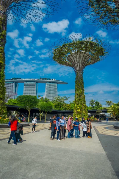 SINGAPORE, CINGAPORE - JANEIRO 30, 2018: Pessoas não identificadas andando debaixo de uma superárvore em Jardins junto à Baía. As estruturas em forma de árvore são equipadas com tecnologias ambientais que imitam o — Fotografia de Stock