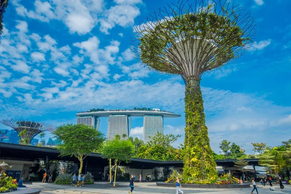 SINGAPORE, SINGAPORE - JANEIRO 30, 2018: Pessoas não identificadas andando debaixo de uma superárvore com um prédio da Marina Bay atrás. As estruturas em forma de árvore são equipadas com tecnologias ambientais que imitam — Fotografia de Stock