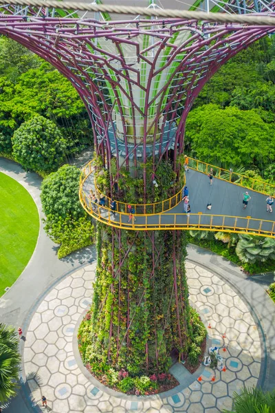 Singapur, Singapur - 30 stycznia 2018: Widok powyżej niezidentyfikowanych ludzi chodzących w chodnik supertree w ogrodach nad zatoką. Struktury drzewa są wyposażone w technologie ochrony środowiska — Zdjęcie stockowe