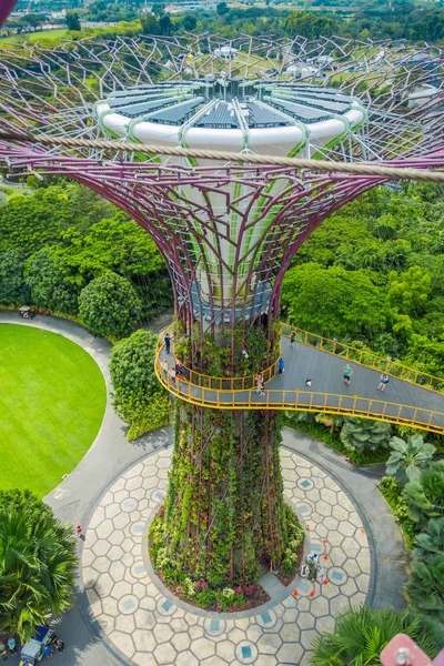 Singapur, Singapur - 30 stycznia 2018: Widok powyżej niezidentyfikowanych ludzi chodzących w chodnik supertree w ogrodach nad zatoką. Struktury drzewa są wyposażone w technologie ochrony środowiska — Zdjęcie stockowe