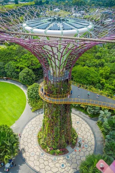 Singapur, Singapur - 30 stycznia 2018: Widok powyżej niezidentyfikowanych ludzi chodzących w chodnik supertree w ogrodach nad zatoką. Struktury drzewa są wyposażone w technologie ochrony środowiska — Zdjęcie stockowe