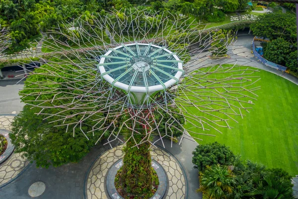 Singapur, Singapur - 30 stycznia 2018: Widok powyżej supertree w ogrodach nad zatoką. Struktury drzewa są wyposażone w technologie środowiskowe, Singapur — Zdjęcie stockowe