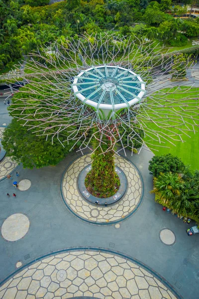 SINGAPUR, SINGAPUR - 30 DE ENERO DE 2018: Vista superior del superárbol en Gardens by the Bay. Las estructuras arbóreas están equipadas con tecnologías ambientales, Singapur —  Fotos de Stock