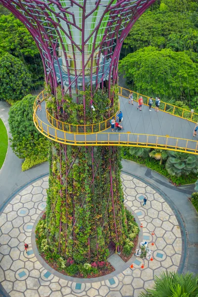 SINGAPORE, SINGAPORE - JANUARY 30, 2018: Above view of people in a walkway with half of a supertree at Gardens by the Bay. The tree structures are fitted with environmental technologies, Singapore — Stock Photo, Image