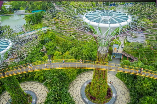 SINGAPUR, SINGAPUR - 30 DE ENERO DE 2018: Sobre la vista de un superárbol increíble en Gardens by the Bay con personas no identificadas en una pasarela. Las estructuras de los árboles están equipadas con tecnologías ambientales para — Foto de Stock