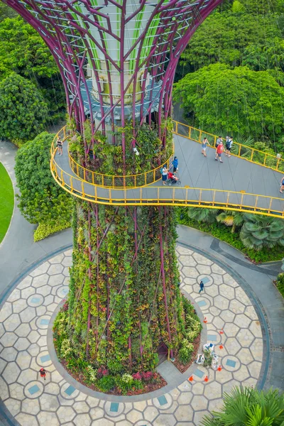 SINGAPORE, SINGAPORE - JANUARY 30, 2018: Above view of people in a walkway with half of a supertree at Gardens by the Bay. The tree structures are fitted with environmental technologies, Singapore — Stock Photo, Image