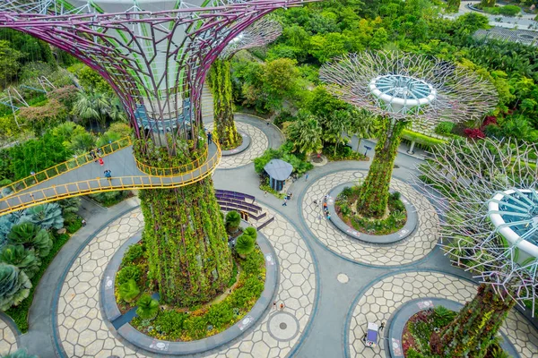 SINGAPUR, SINGAPUR - 30 DE ENERO DE 2018: Magnífica vista sobre el superárbol en Gardens by the Bay con ramas metálicas. Las estructuras arbóreas están equipadas con tecnologías ambientales, Singapur —  Fotos de Stock