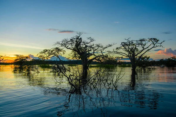 Árvores silhuetas contra um céu laranja ao pôr-do-sol sobre Laguna Grande no Parque Nacional da Reserva de Vida Selvagem de Cuyabeno, no Equador — Fotografia de Stock