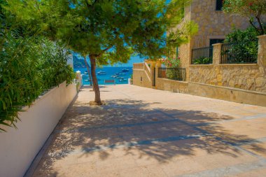 Sant Elm şehir, şirin güzel manzarasına alışveriş caddesi içinde küçük şehir, San Telmo, Mallorca bir ağaç önünde, İspanya'da