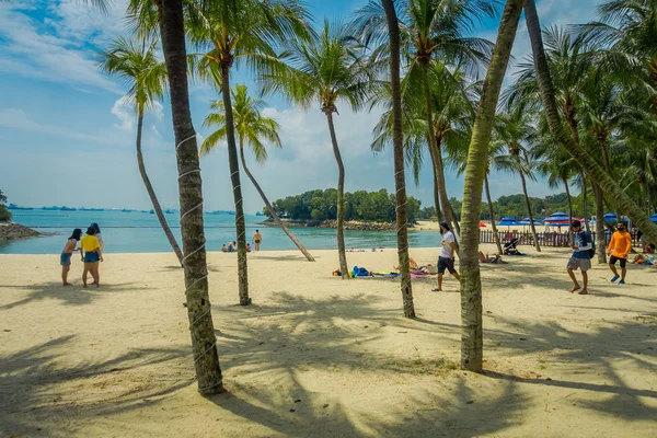SINGAPUR, SINGAPUR - 01 DE FEBRERO DE 2018: Hermosa vista al aire libre y personas no identificadas caminando en la arena amarilla con algunas palmeras en la playa de la isla Sentosa en Singapur — Foto de Stock