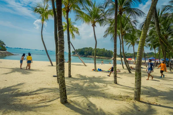 SINGAPUR, SINGAPUR - 01 DE FEBRERO DE 2018: Personas no identificadas caminando en la arena amarilla con algunas palmeras en la playa de la isla Sentosa en Singapur — Foto de Stock